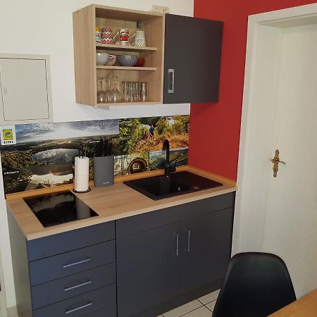 Zimmerappartement "Rose" - Ferienwohnungen Wagner & Gaul Daleiden Eksteriør billede